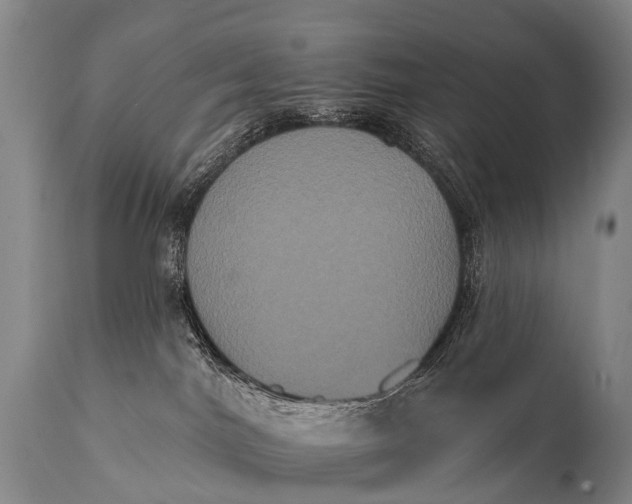 X0000112000044200908171429