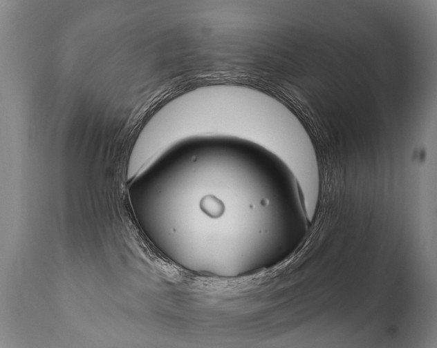 X0000112000045200908171429