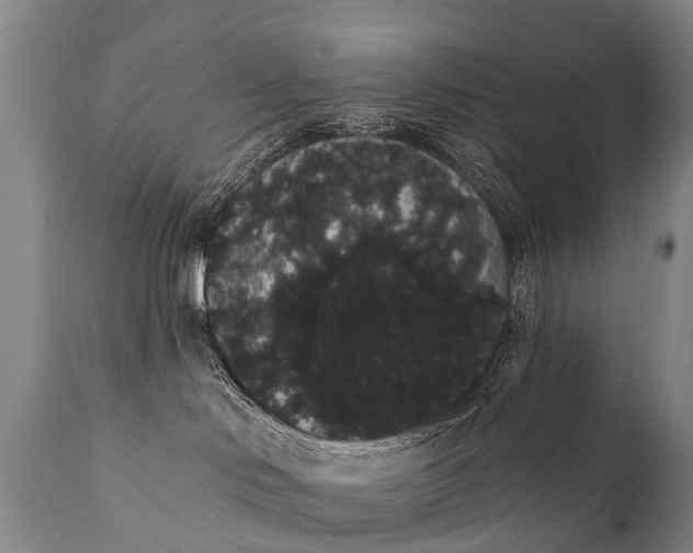 X0000112000046200908171429