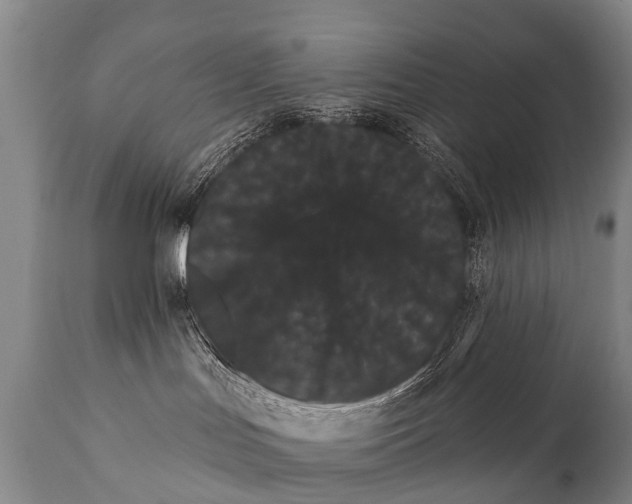 X0000112000047200908171429