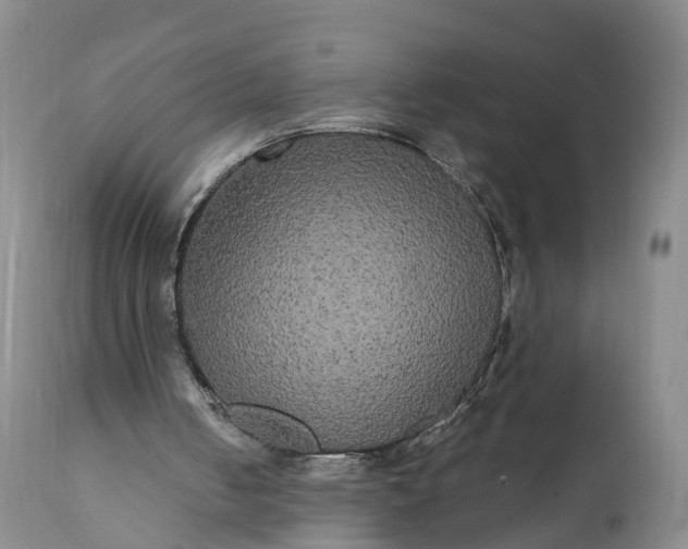 X0000112000050200908171429