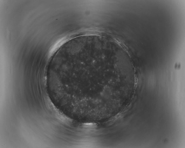 X0000112000053200908171429