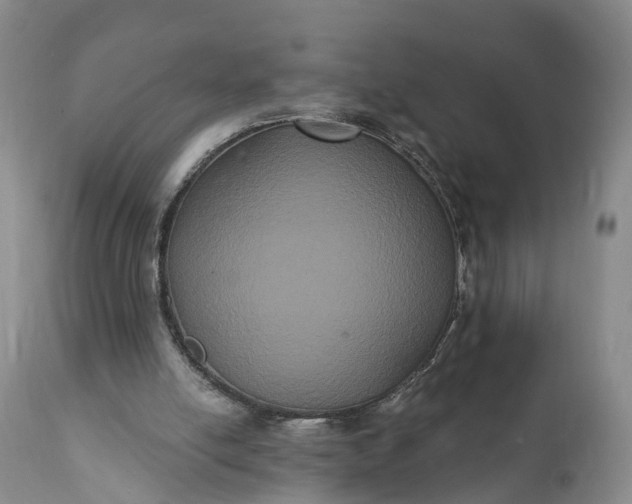 X0000112000054200908171429