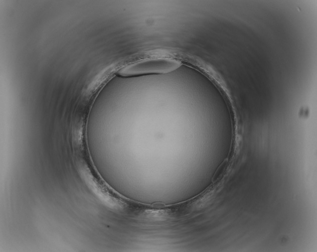 X0000112000057200908171429