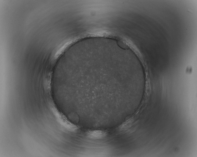 X0000112000058200908171429