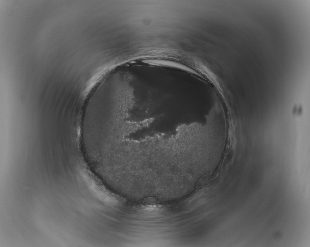 X0000112000059200908171429