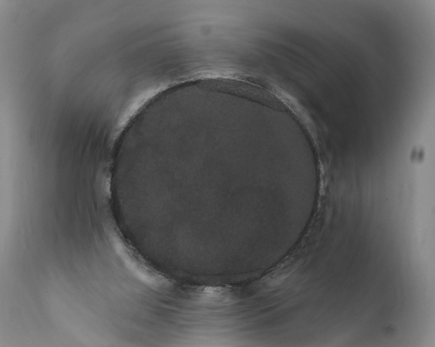 X0000112000060200908171429