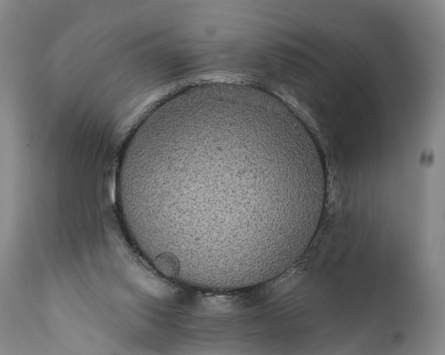 X0000112000062200908171429