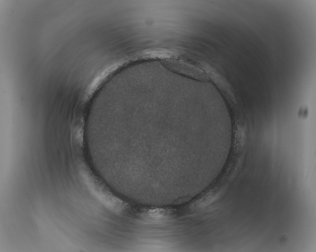 X0000112000064200908171429