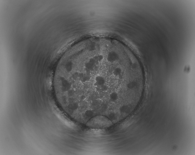 X0000112000065200908171429