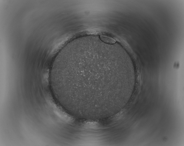 X0000112000066200908171429