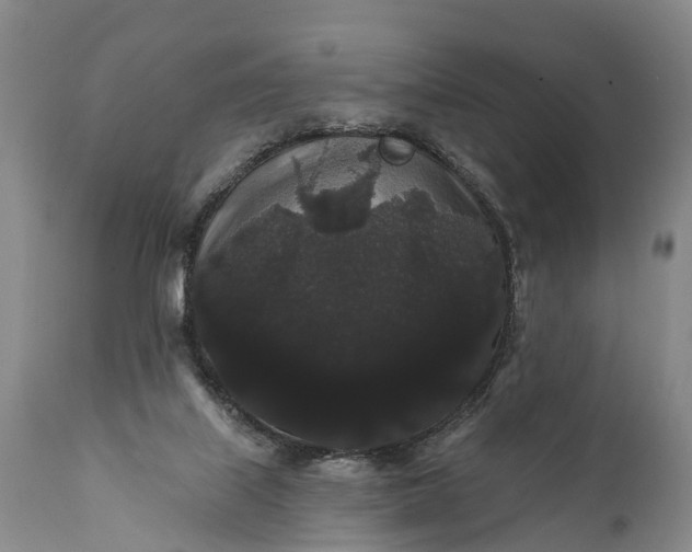 X0000112000067200908171429