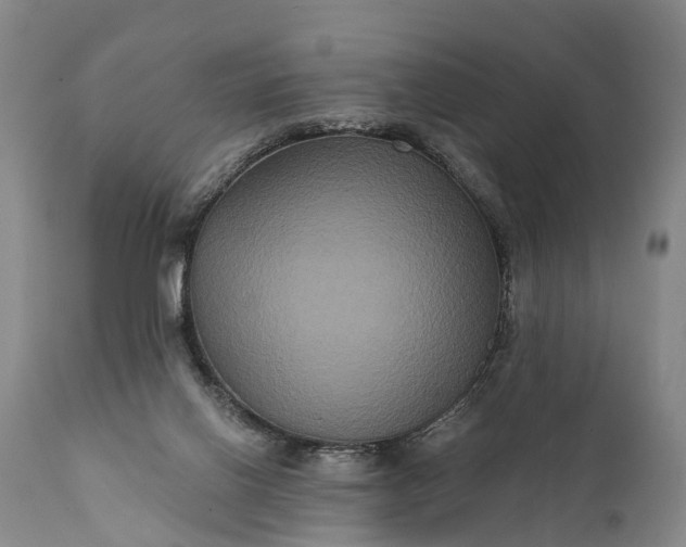 X0000112000070200908171429