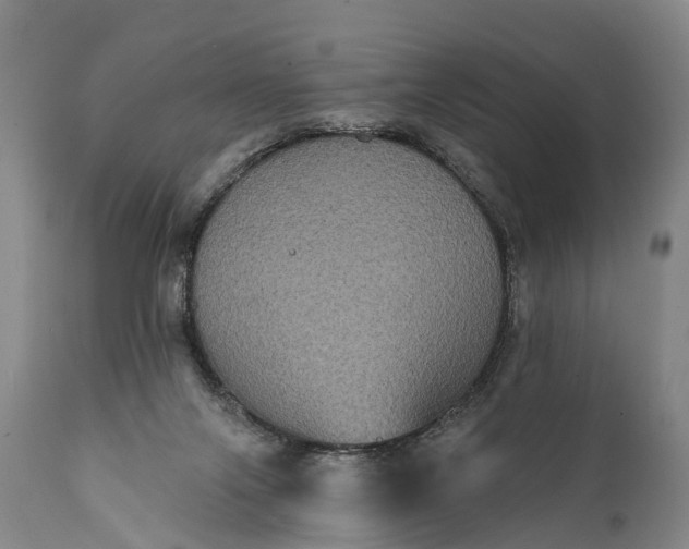 X0000112000071200908171429