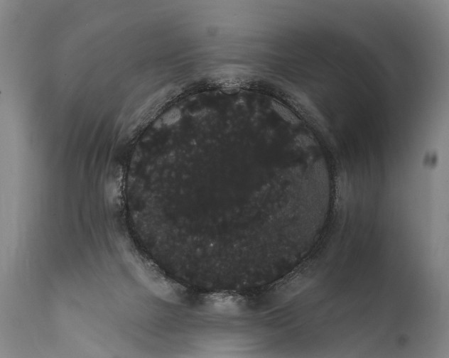 X0000112000073200908171429