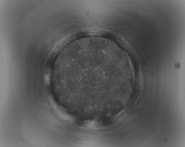 X0000112000074200908171429