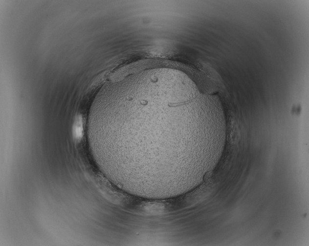 X0000112000075200908171429