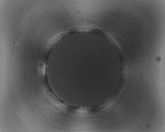 X0000112000076200908171429