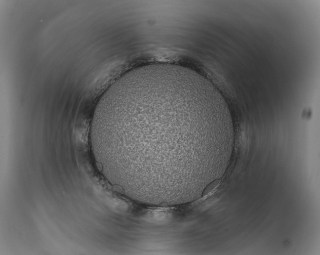 X0000112000078200908171429