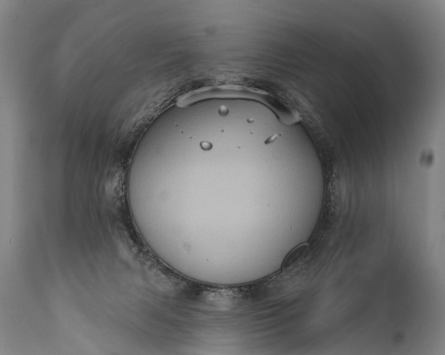 X0000112000079200908171429