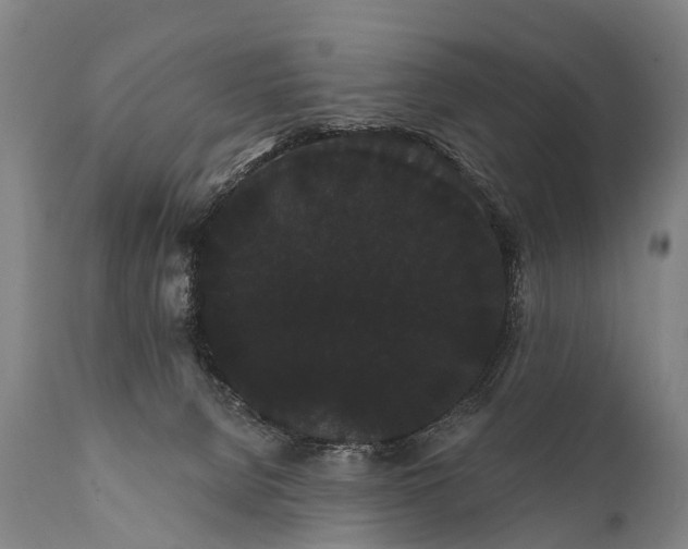 X0000112000080200908171429