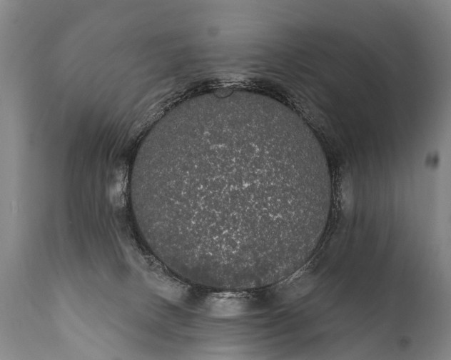 X0000112000082200908171429