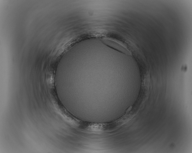 X0000112000084200908171429