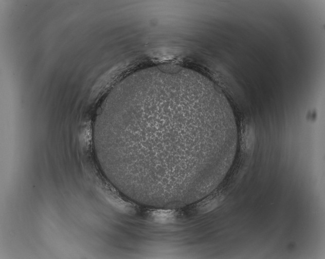 X0000112000085200908171429