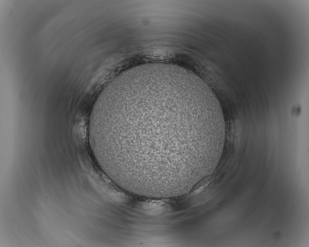 X0000112000086200908171429