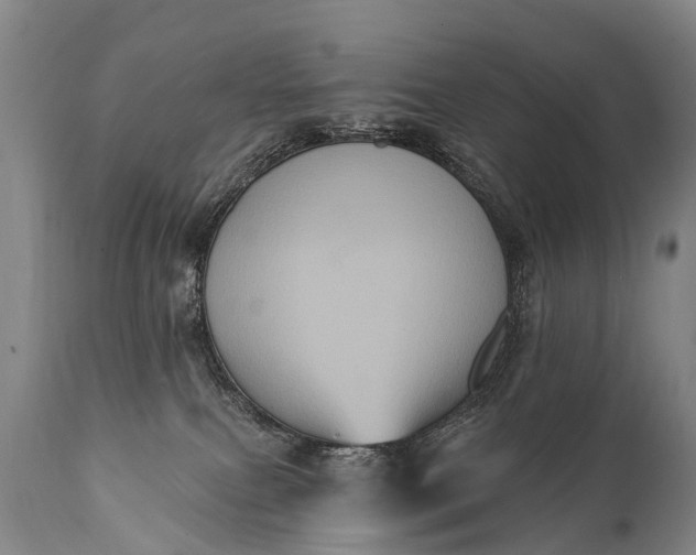 X0000112000087200908171429