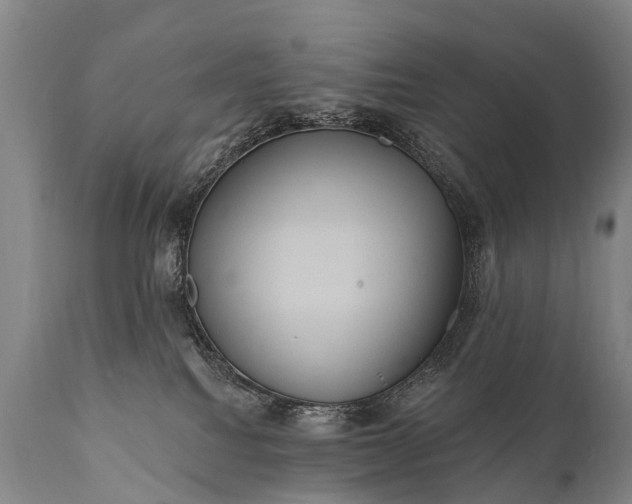 X0000112000088200908171429