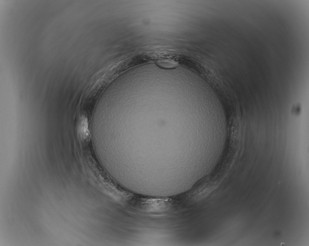 X0000112000089200908171429