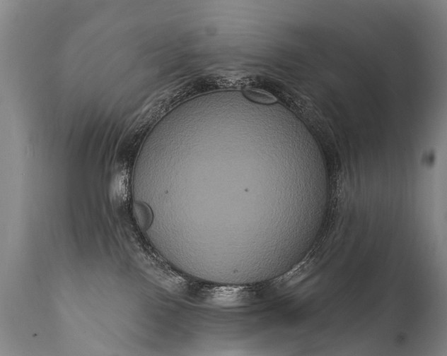 X0000112000090200908171429