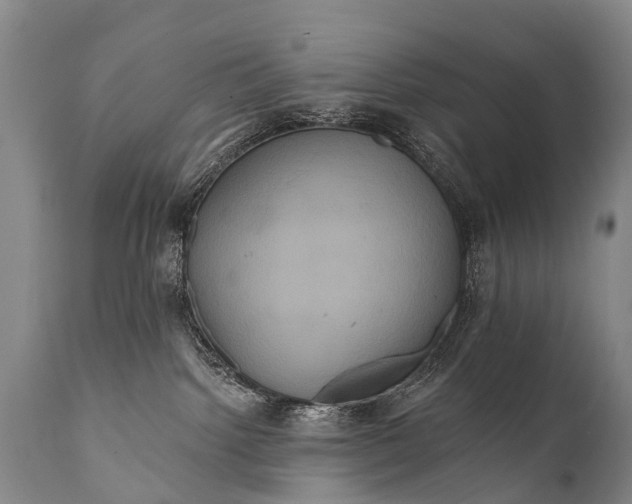 X0000112000092200908171429