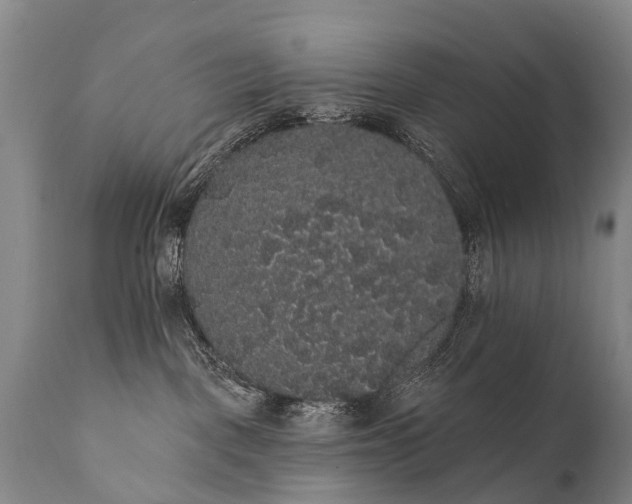 X0000112000093200908171429