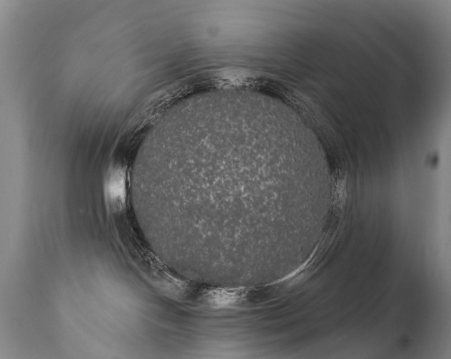 X0000112000094200908171429