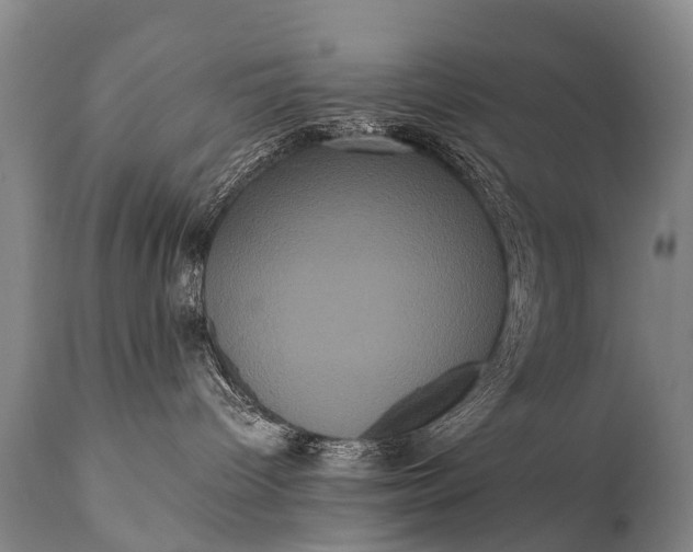 X0000112000096200908171429