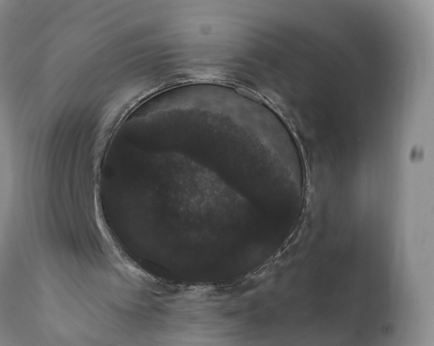 X0000112000097200908171429