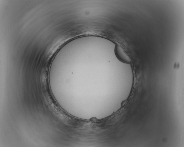 X0000112000098200908171429