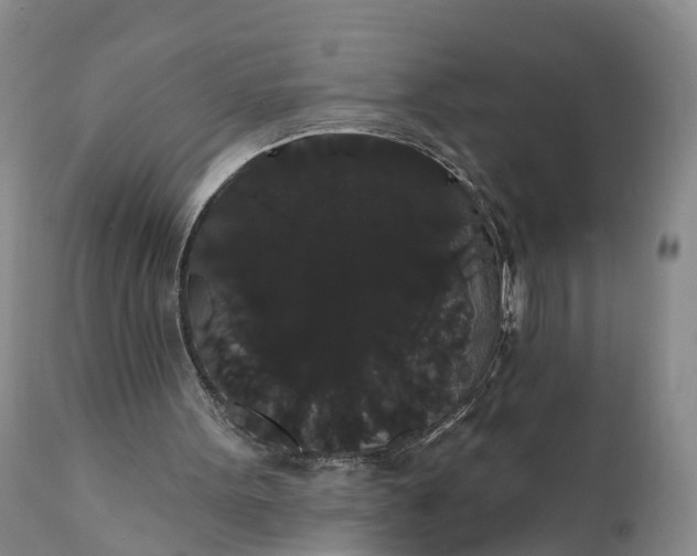 X0000112000099200908171429