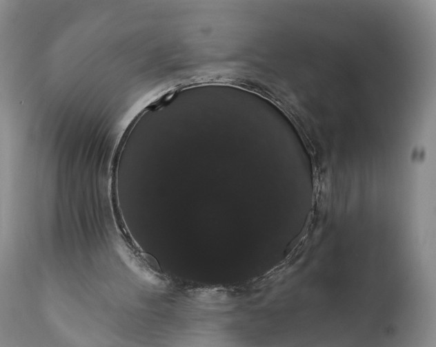 X0000112000100200908171429