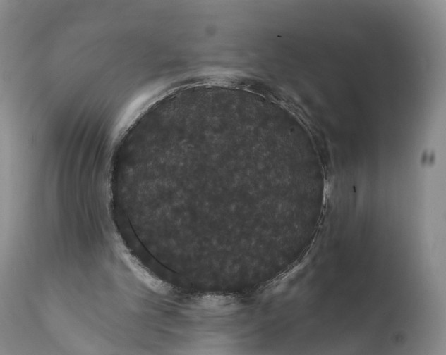 X0000112000101200908171429