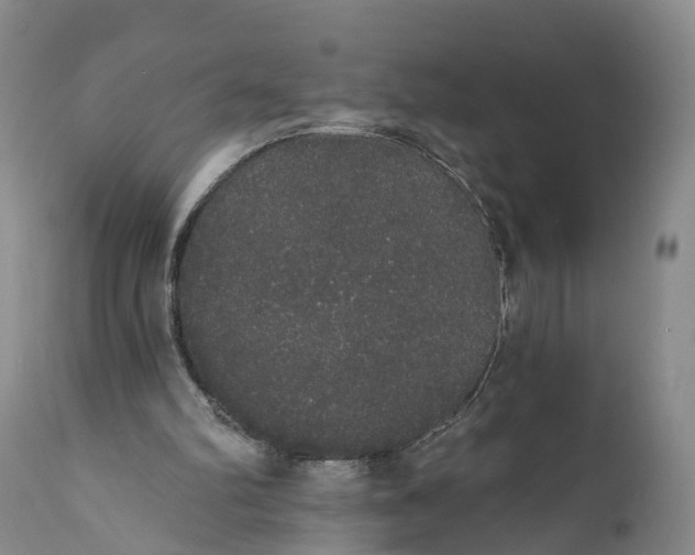 X0000112000102200908171429