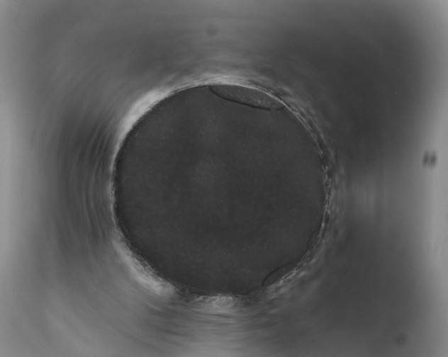 X0000112000104200908171429