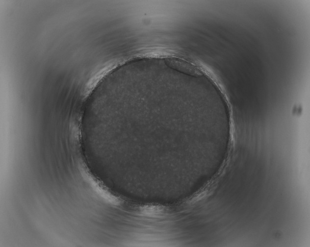 X0000112000105200908171429