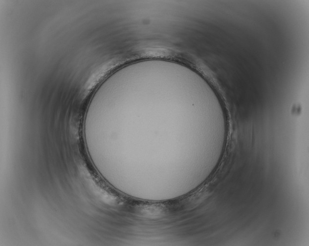 X0000112000106200908171429