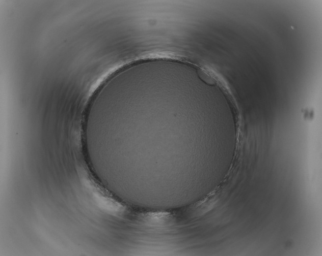 X0000112000108200908171429