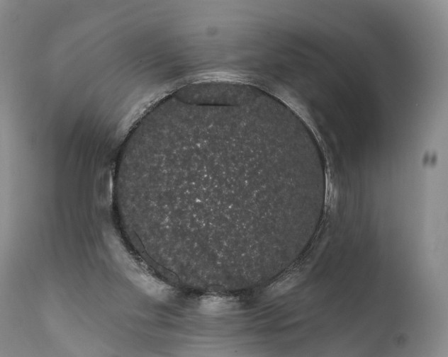 X0000112000109200908171429