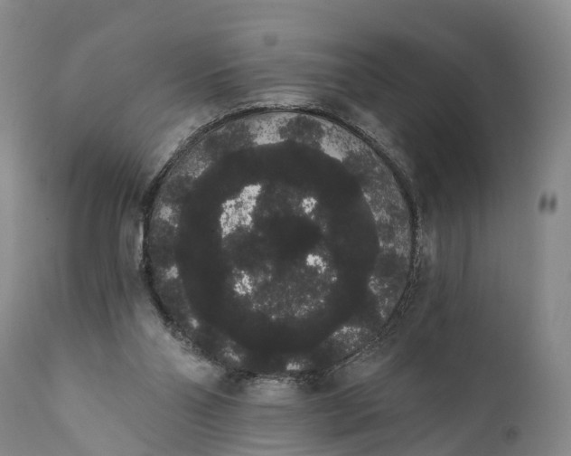 X0000112000110200908171429