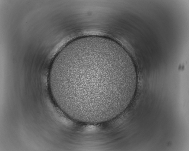 X0000112000111200908171429